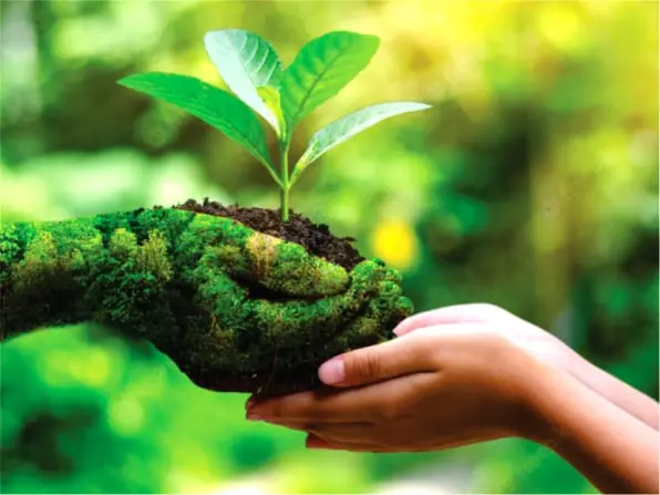 SUSTENTABILIDADE